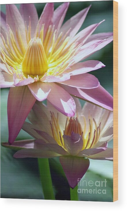 Floral Wood Print featuring the photograph Open Heart by Mary Lou Chmura