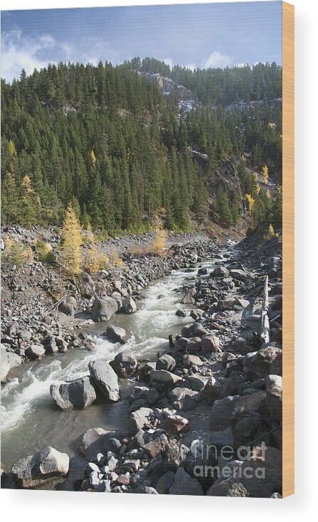 Color Wood Print featuring the photograph Oregon Wilderness II by Peter French