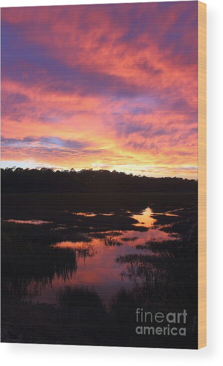 Marsh Wood Print featuring the photograph Ossabaw Sunset by Andre Turner