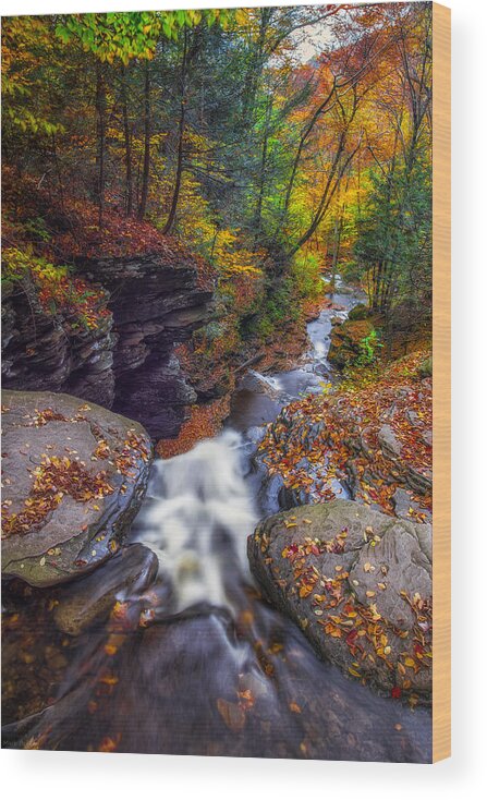 Ricketts Glen Kitchen Creek Wood Print featuring the photograph Over the falls by Mark Papke