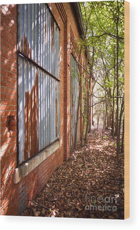 Abandoned Wood Print featuring the photograph Overgrown by Lawrence Burry