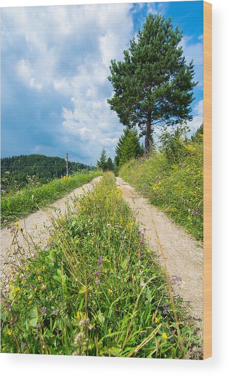 Road Wood Print featuring the photograph Overgrown Rural Path Up a Hill by Andreas Berthold