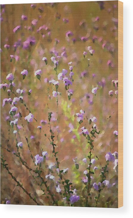 Photo Art Print Wood Print featuring the photograph Painted Wildflowers by Bonnie Bruno