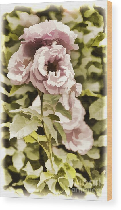 Live Rose Wood Print featuring the painting Painting of a live pink Rose flower in Color 3225.02 by M K Miller