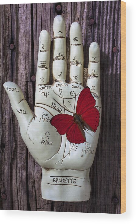 Palm Reader Hand Wood Print featuring the photograph Palm reading hand and butterfly by Garry Gay