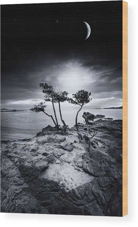 Scenics Wood Print featuring the photograph Palombaggia by Philippe Sainte-laudy Photography