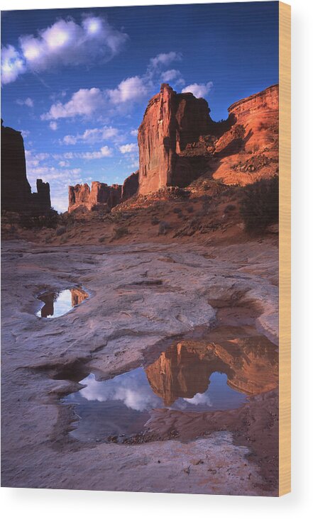 Arches National Park Wood Print featuring the photograph Park Avenue Reflection by Ray Mathis