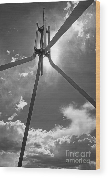 Parliament Wood Print featuring the photograph Parliament Tower in Canberra by Inge Riis McDonald