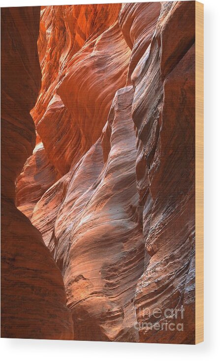 Buckskin Gulch Wood Print featuring the photograph Passage Through The Red by Adam Jewell