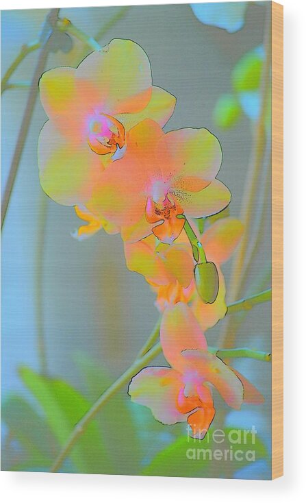 Plants Wood Print featuring the photograph Pastel Orchids by Tamara Michael