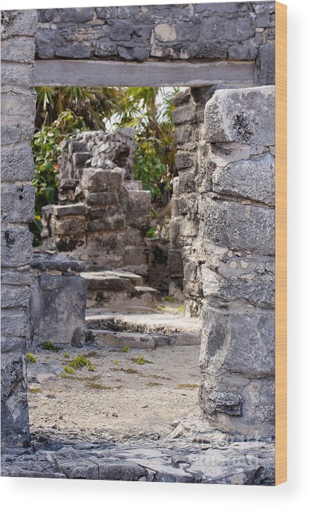 Access Wood Print featuring the photograph Path through Mayan Ruins by Jannis Werner