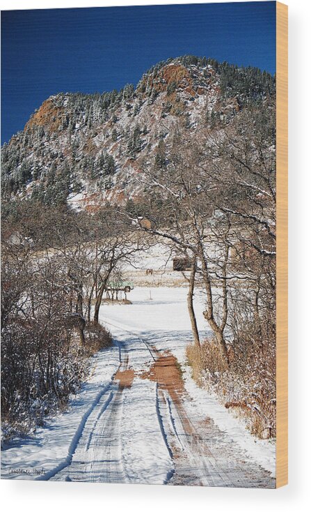 Colorado Scenery Art Wood Print featuring the photograph Pathways In Snow by Constance Woods