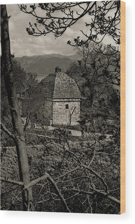 Penmon Wood Print featuring the photograph Penmon Priory Dovecot by Nigel Fletcher-Jones