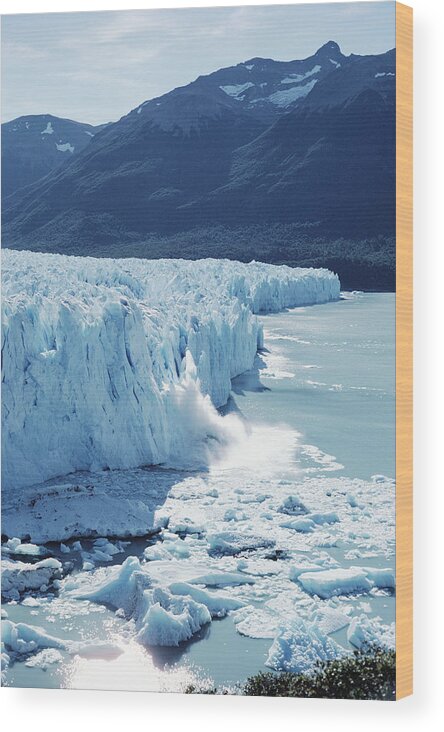 Feb0514 Wood Print featuring the photograph Perito Moreno Glacier And Lake by Tui De Roy