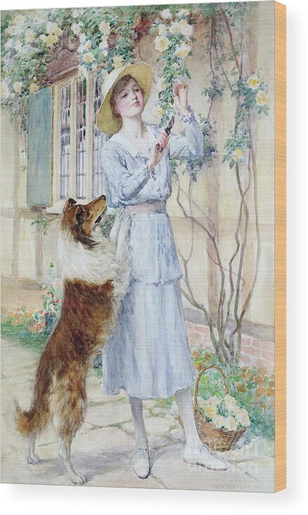 Rose Wood Print featuring the painting Picking Roses by William Henry Margetson