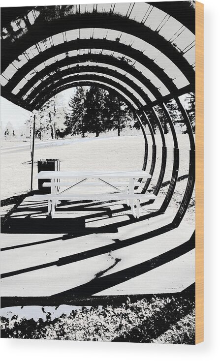 Park Bench Wood Print featuring the photograph Picnic Table and Gazebo by Ric Bascobert