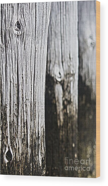 Photo Wood Print featuring the photograph Pier Wood by Sebastian Mathews Szewczyk