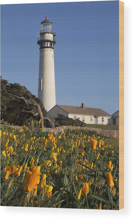 3scape Wood Print featuring the photograph Pigeon Point Lighthouse and California Poppies by Adam Romanowicz