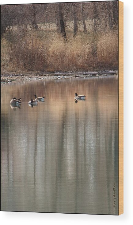 Landscape Wood Print featuring the photograph Pond Reflections by Kae Cheatham