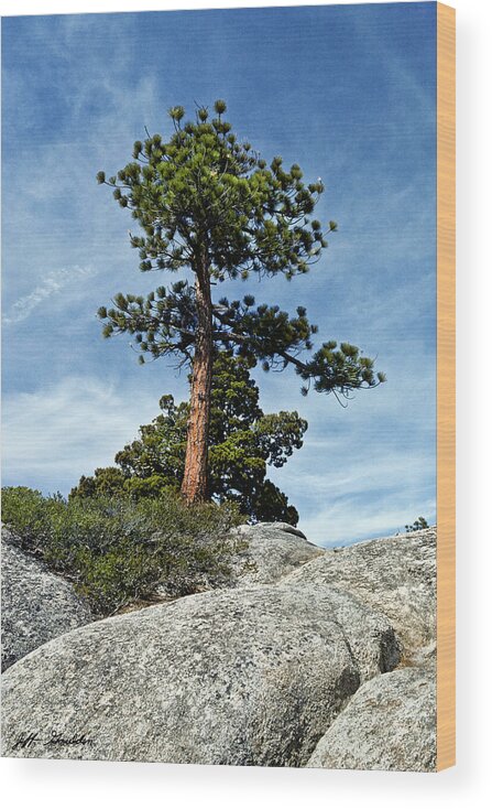 Beauty In Nature Wood Print featuring the photograph Ponderosa Pine and Granite Boulders by Jeff Goulden