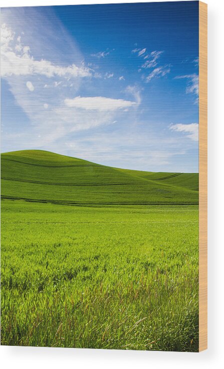 Palouse Wood Print featuring the photograph Possibilities by Kunal Mehra