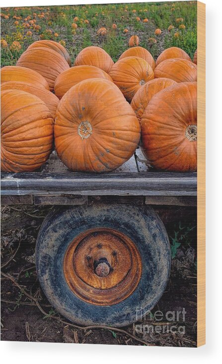 Pumpkin Wood Print featuring the photograph Pumpkin Wheel by Henry Kowalski