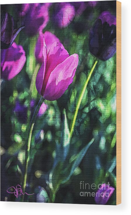 Tulips Wood Print featuring the painting Purple and PInk Tulip Companions by Jani Bryson