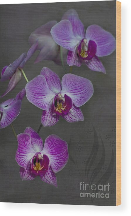 Orchid Wood Print featuring the photograph Purple Orchid Flower by Heiko Koehrer-Wagner