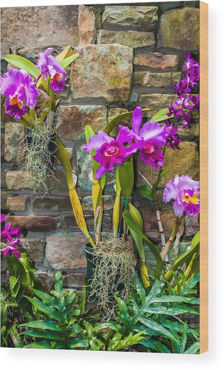 Spa Wood Print featuring the photograph Purple Orchids With Cultured Stone Background by Alex Grichenko