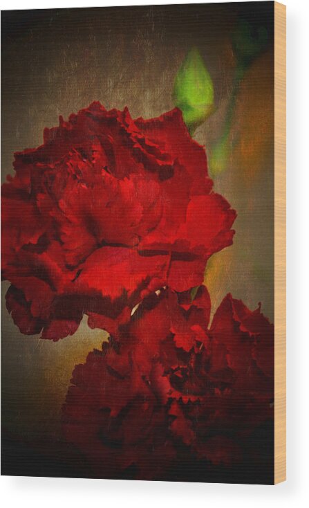Carnation Wood Print featuring the photograph Red Carnations by Susan McMenamin