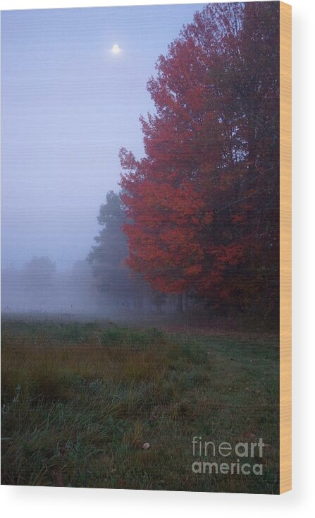 Newhampshire Wood Print featuring the photograph Red Foliage Foggy Field by Kerri Mortenson