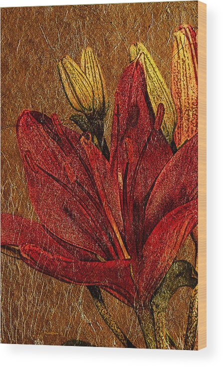 Flower Wood Print featuring the photograph Red Lily Gold Leaf by Phyllis Denton