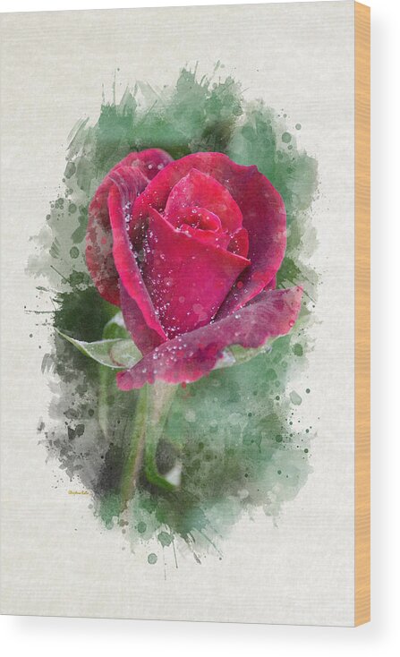 Red Rose Wood Print featuring the mixed media Red Rose Watercolor Art by Christina Rollo