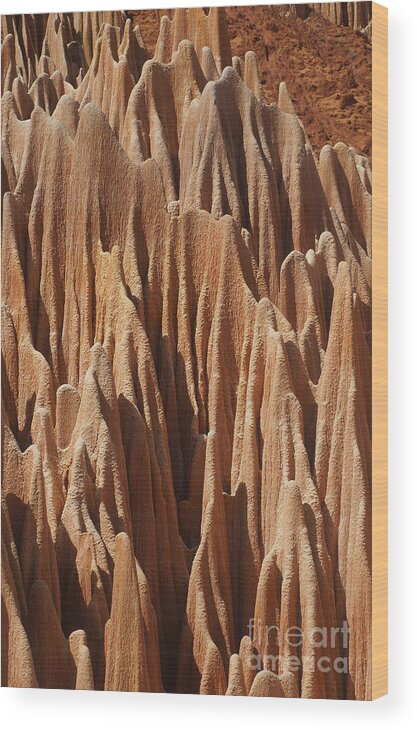 Prott Wood Print featuring the photograph red Tsingy Madagascar 5 by Rudi Prott