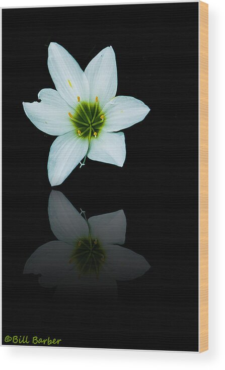 Floral Wood Print featuring the photograph Reflected Iris by Bill Barber