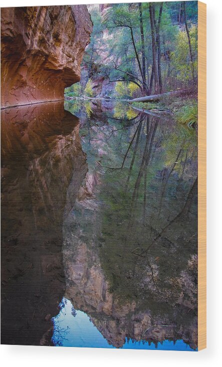 Oak Wood Print featuring the photograph Reflection by Will Wagner