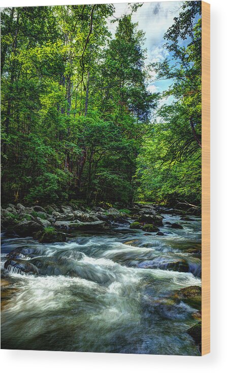 Smoky Mountains Wood Print featuring the photograph Refreshing Morning Along The River by Michael Eingle
