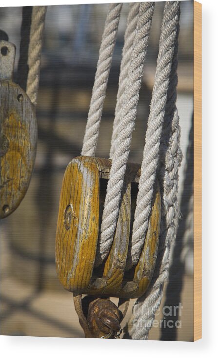 Rigging Wood Print featuring the photograph Rigging Block by Brian Jannsen