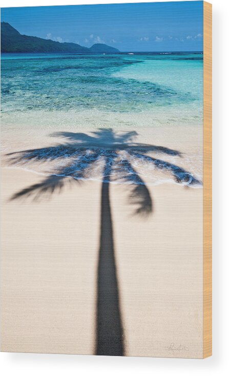 Landscape Wood Print featuring the photograph Rincon Shadow by Renee Sullivan