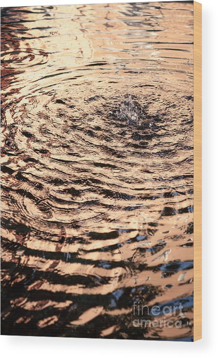 Fountain Wood Print featuring the photograph Ripple Reflection In Fountain Water by Peter Noyce
