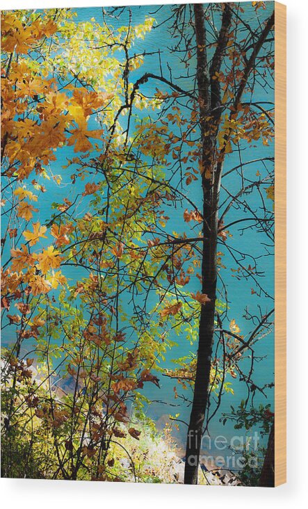 Autumn Wood Print featuring the photograph Rivers Edge by Gwyn Newcombe