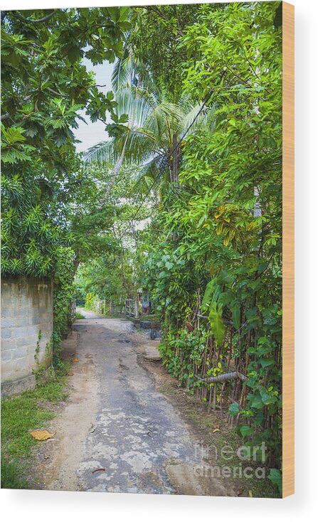 Jungle Wood Print featuring the photograph road in the Sri Lanka jungle by Gina Koch