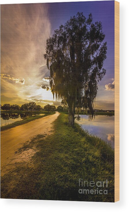 Lakeland Park Wood Print featuring the photograph Road Into The Light by Marvin Spates