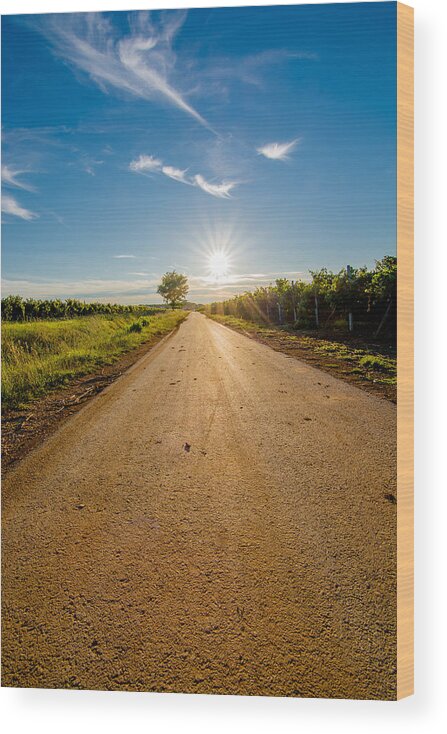 Sun Wood Print featuring the photograph Road to the Sun by Andreas Berthold