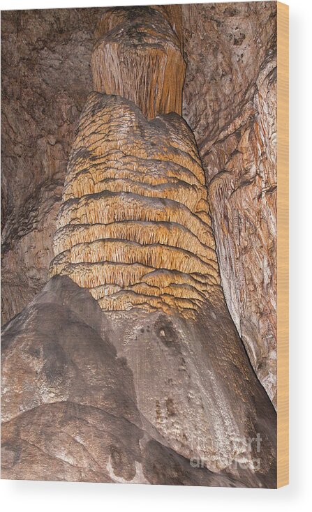 Carlsbad Wood Print featuring the photograph Rock of Ages Carlsbad Caverns National Park by Fred Stearns