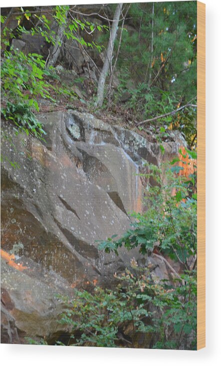 Rock Wood Print featuring the photograph Rock On Hokie Bird by Cathy Shiflett