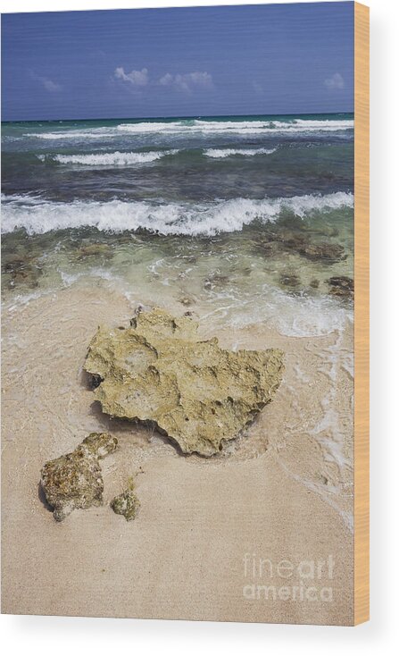Mexico Wood Print featuring the photograph Rocky Shoreline in Tulum by Bryan Mullennix