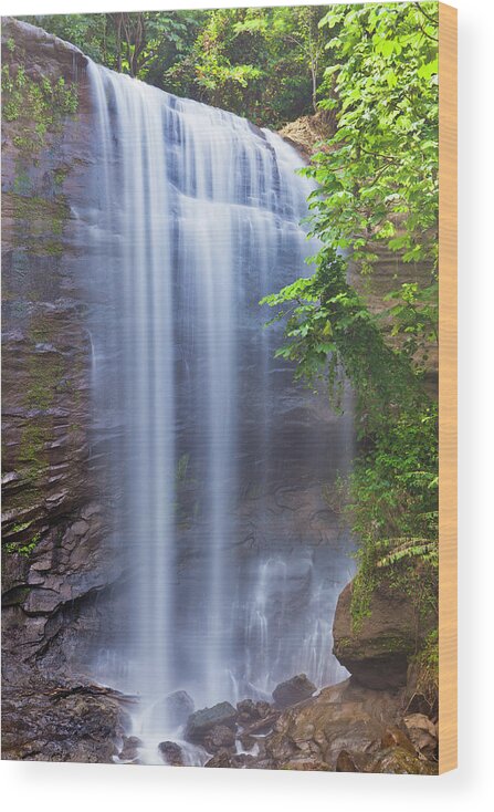 Tropical Rainforest Wood Print featuring the photograph Royal Mt Carmel Waterfall, Grenada by Argalis