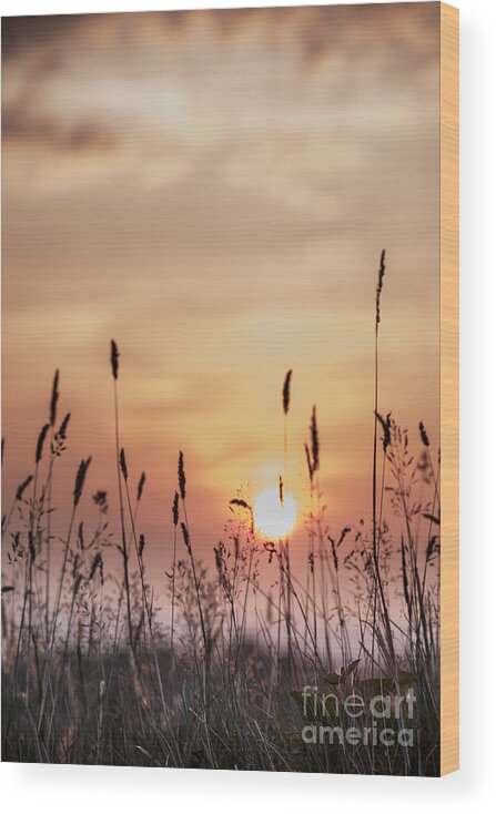 Orange Wood Print featuring the photograph Rural Sunset by Jan Bickerton