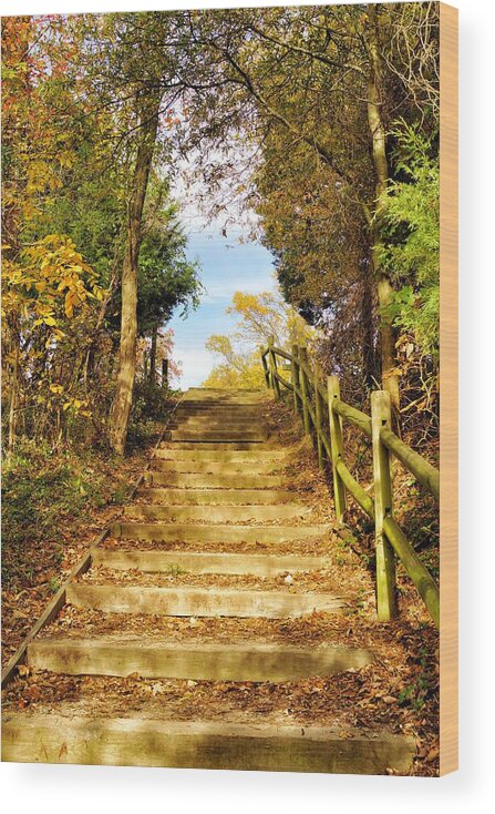 Rustic Wood Print featuring the photograph Rustic Stairway by Jean Goodwin Brooks